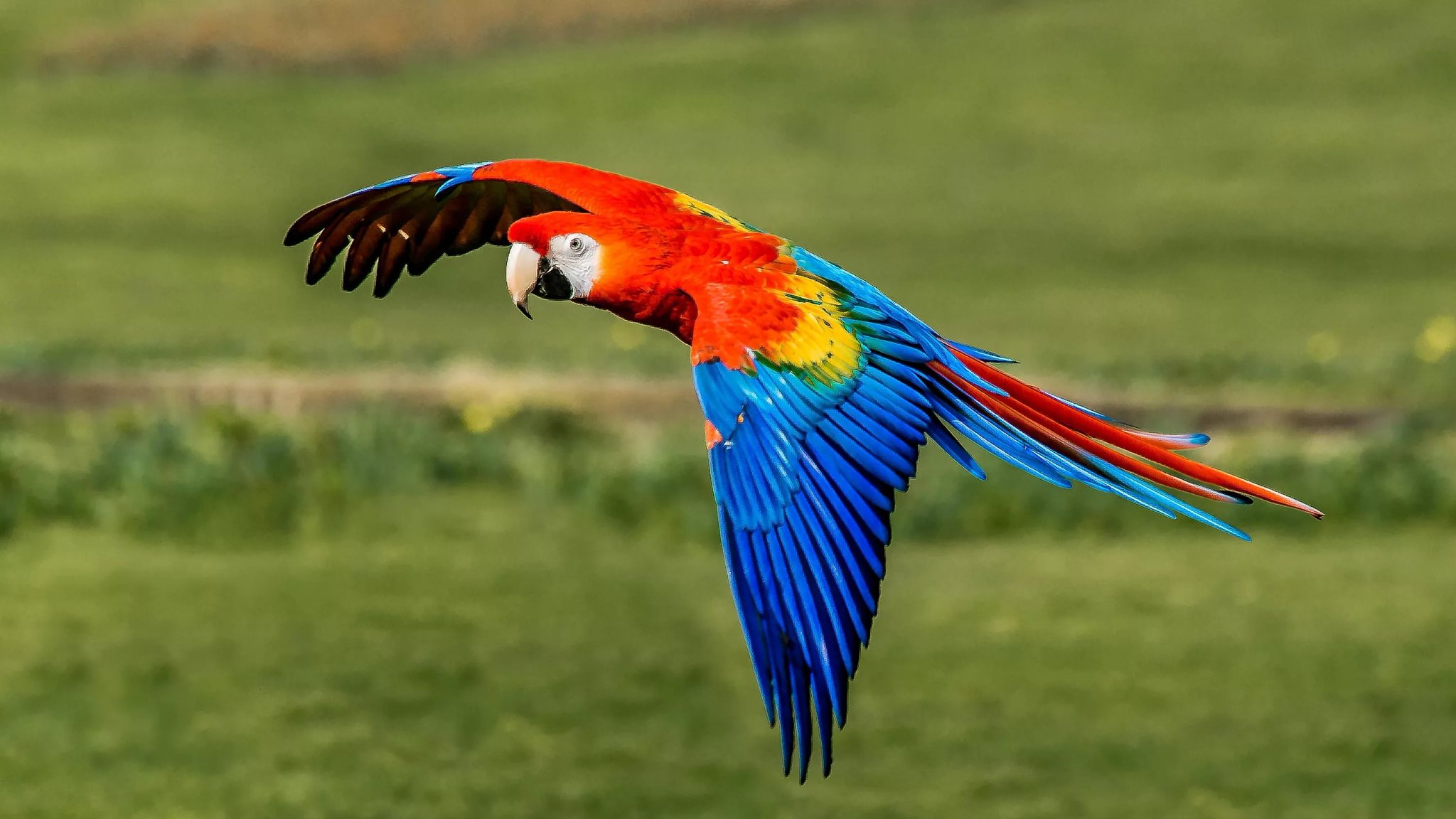 Costa Rica